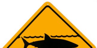 Warning: Surf at your own Risk