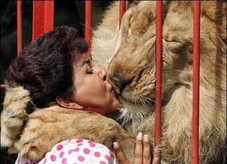 O Leão: não tem como escapar, mas por que não enquadrá-lo?