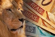 Como declarar Investimentos no Imposto de Renda?