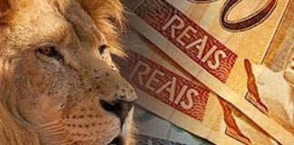 Como declarar Investimentos no Imposto de Renda?