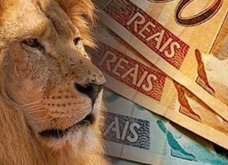 Como declarar Investimentos no Imposto de Renda?